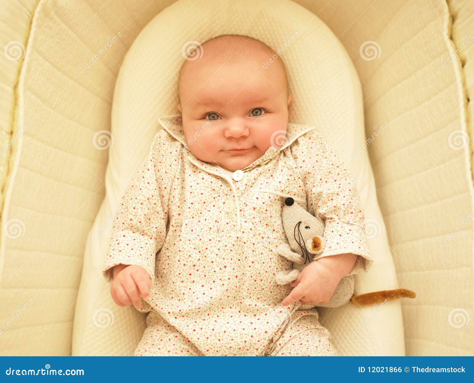 Baby in stock photo. Image of calm, female, animals 12021866