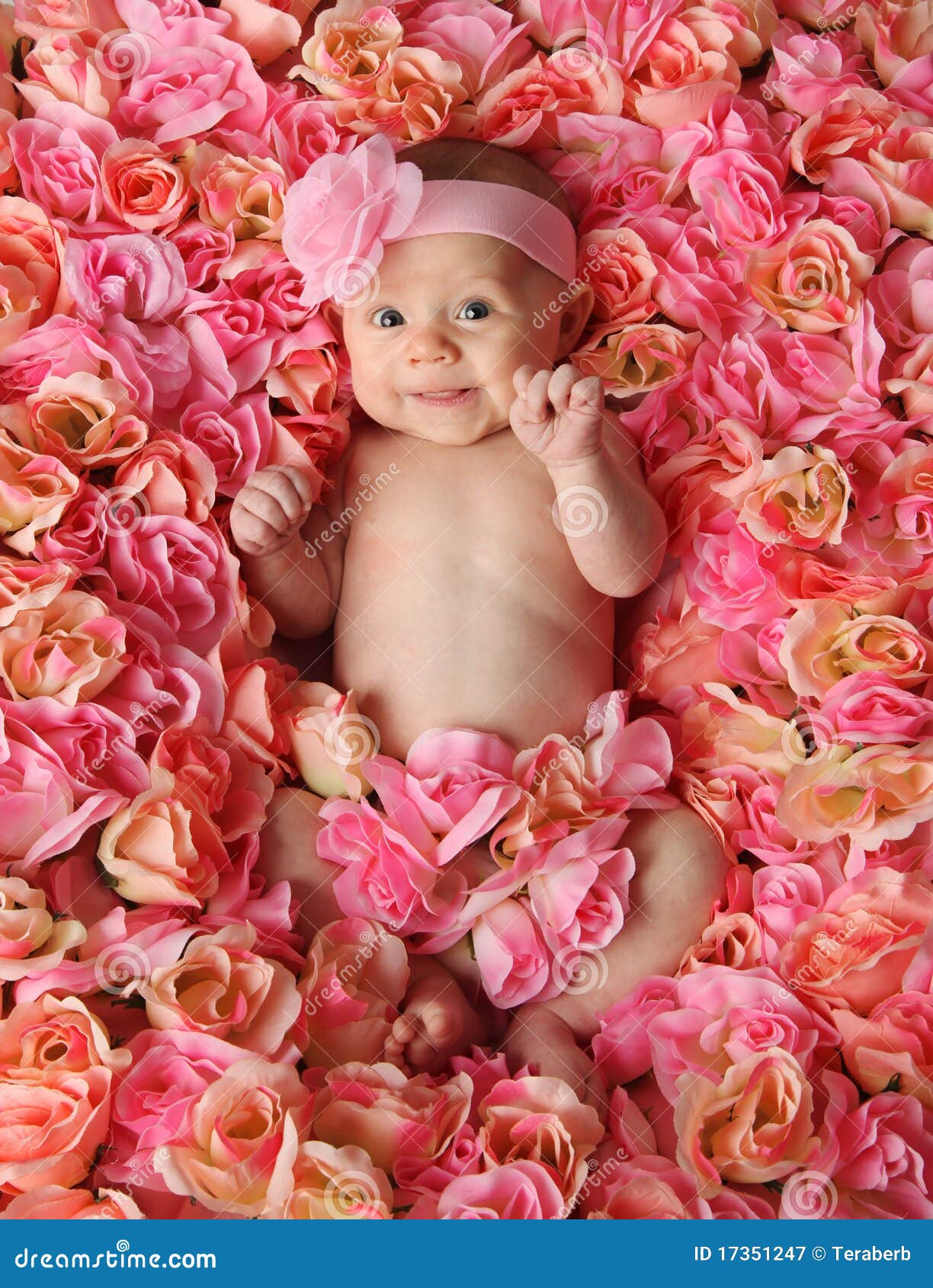 https://thumbs.dreamstime.com/z/baby-bed-roses-17351247.jpg