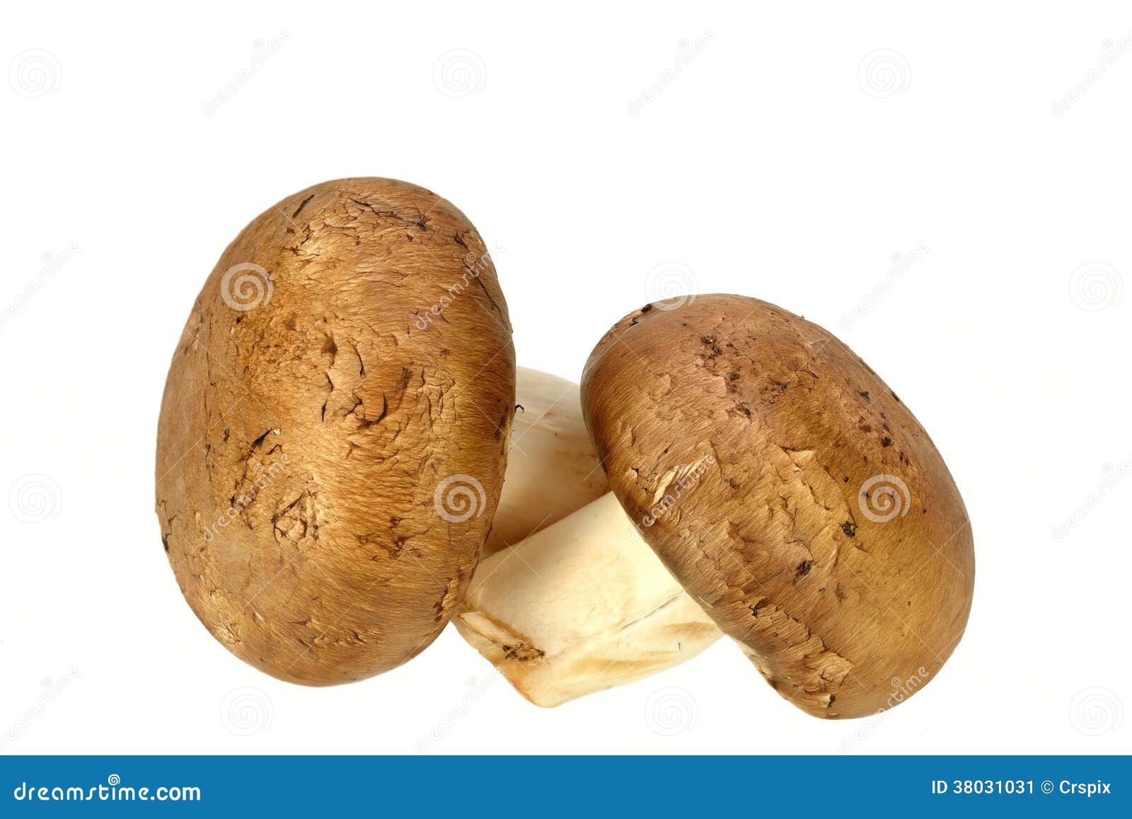 Baby Bella mushrooms stock image. Image of brown, fungus 38031031