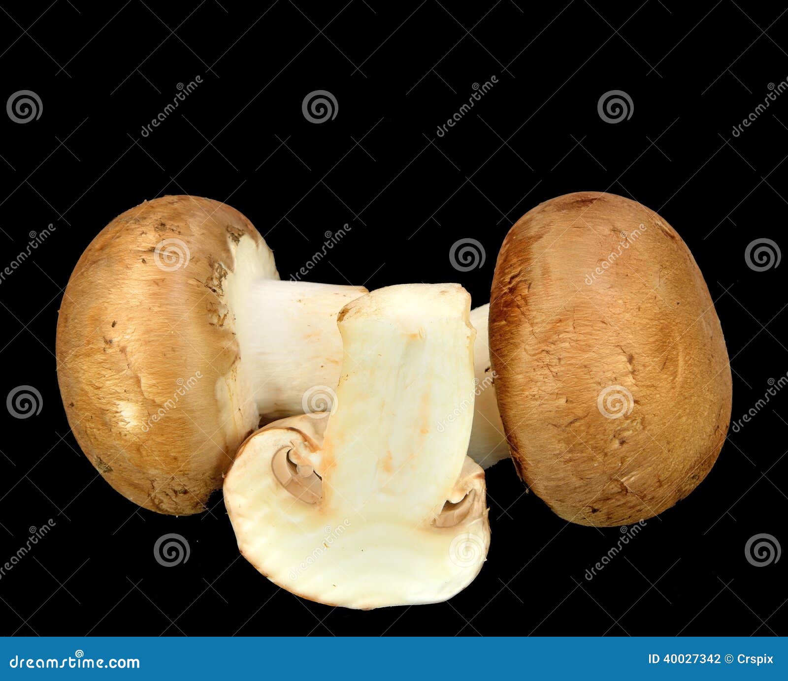 Baby Bella mushrooms stock photo. Image of background 40027342