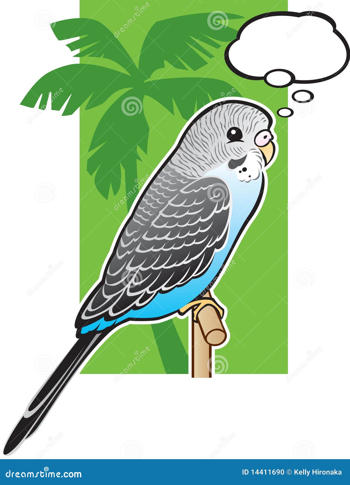 baby-blue-budgerigar-parakeet- baby-blue-budgerigar-parakeet-