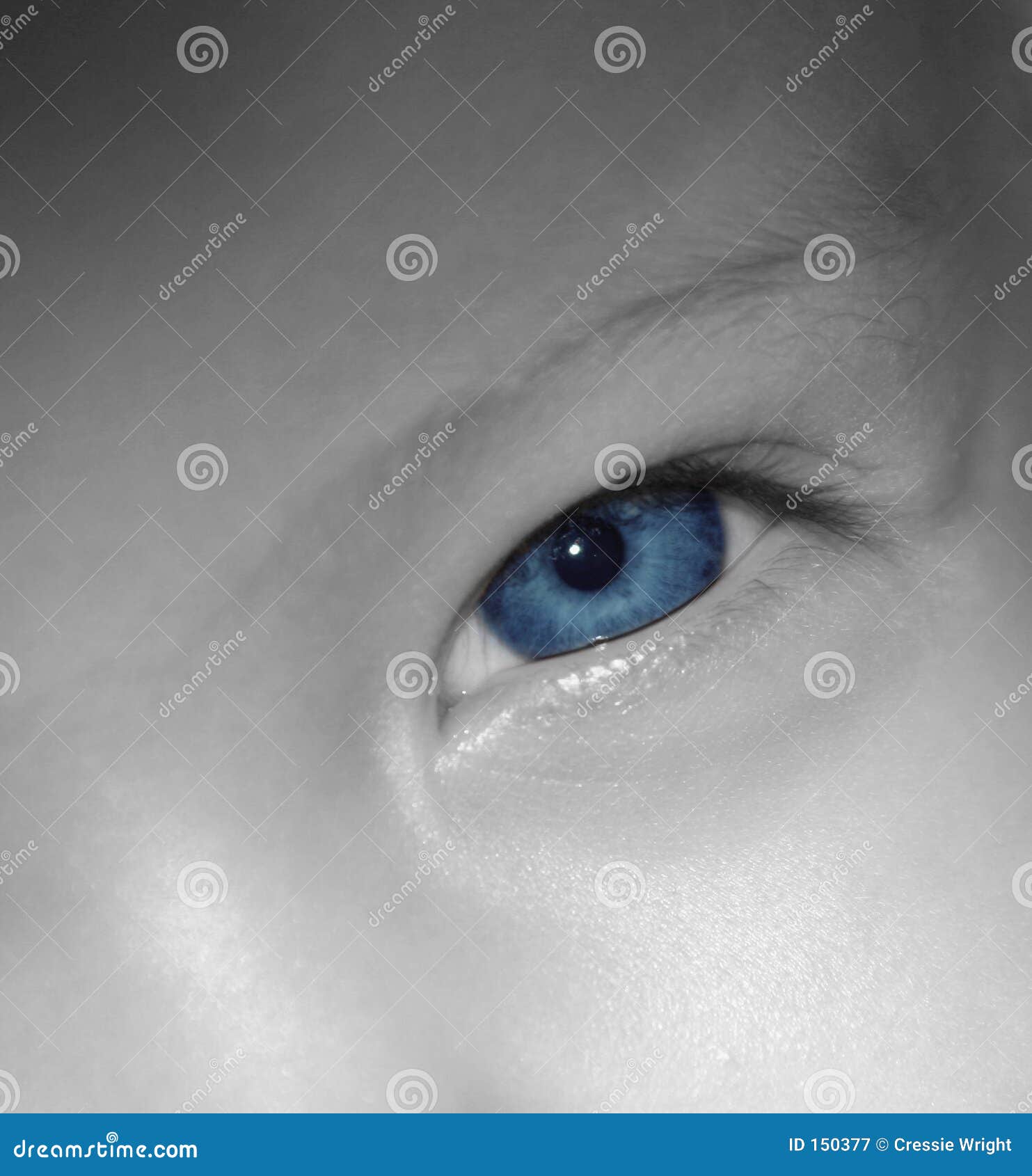 Baby Blue Eyes stock image. Image of newborn, eyelashes 150377