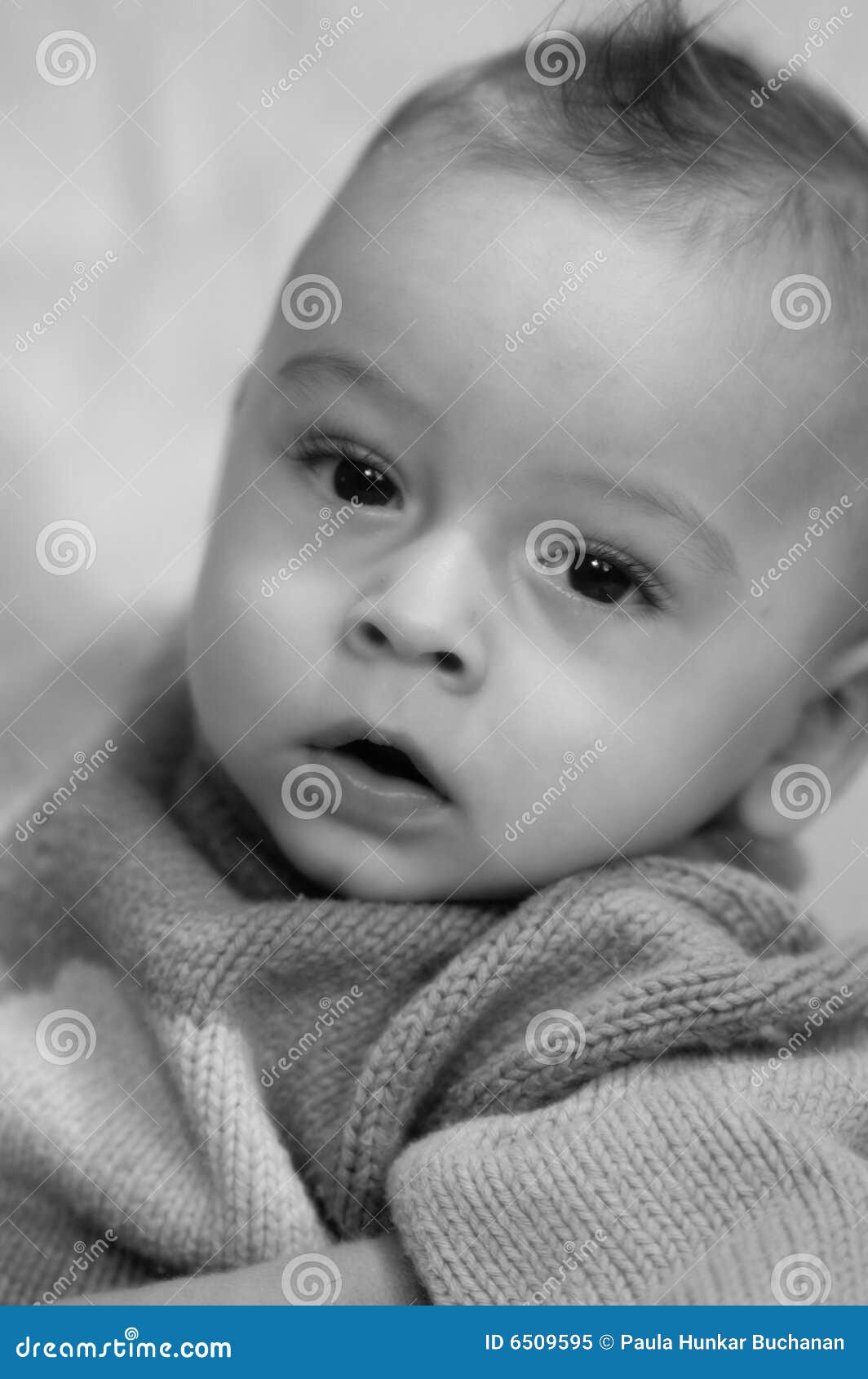 Baby boy 5 stock image. Image of hair, adorable, formula 6509595