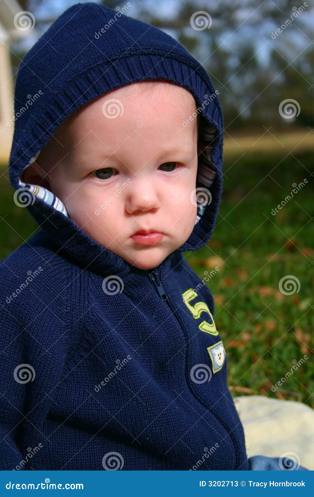 Baby boy in blue stock image. Image of child, expression 3202713