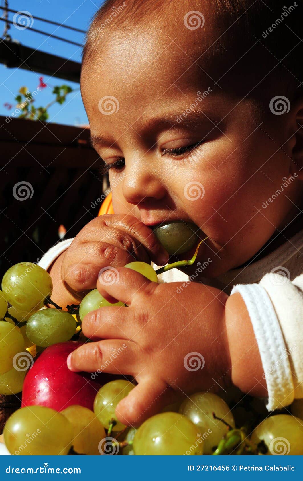 Baby boy eating grapes stock photo. Image of vitamins 27216456