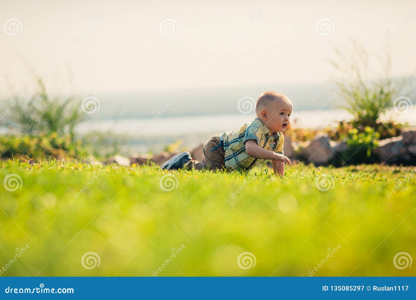 Baby Boy on Green Grass Nature Background Stock Image Image of