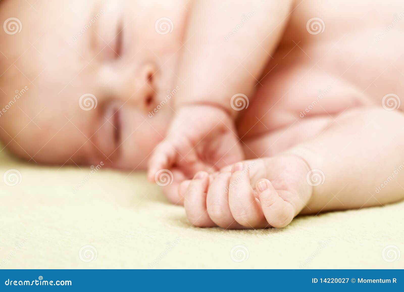 Baby boy hands stock image. Image of baby, gentle, human 14220027
