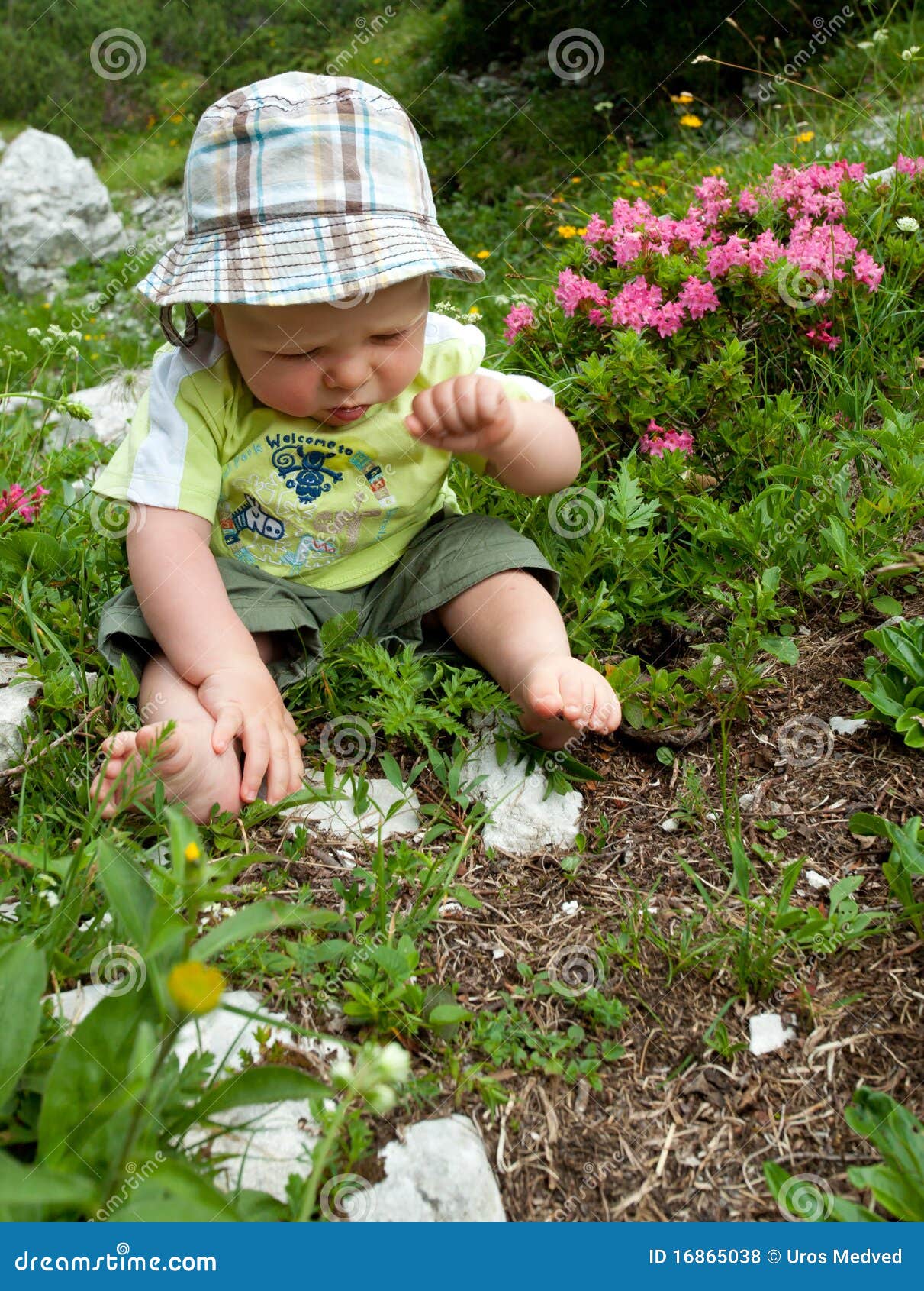 Download Baby boy playing outdoor stock photo. Image of person ...