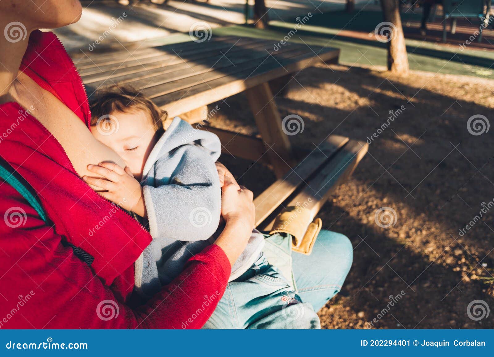 Baby Breastfed in a Park in the Sun Stock Image Image of healthy