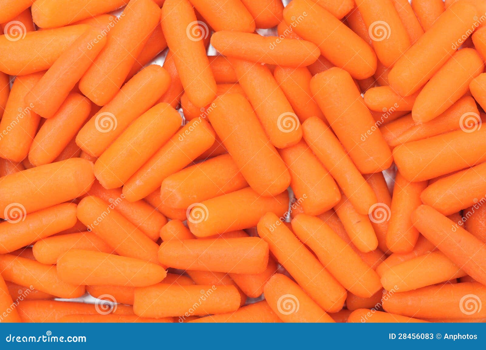 Baby carrot stock image. Image of flavour, group, fiber 28456083
