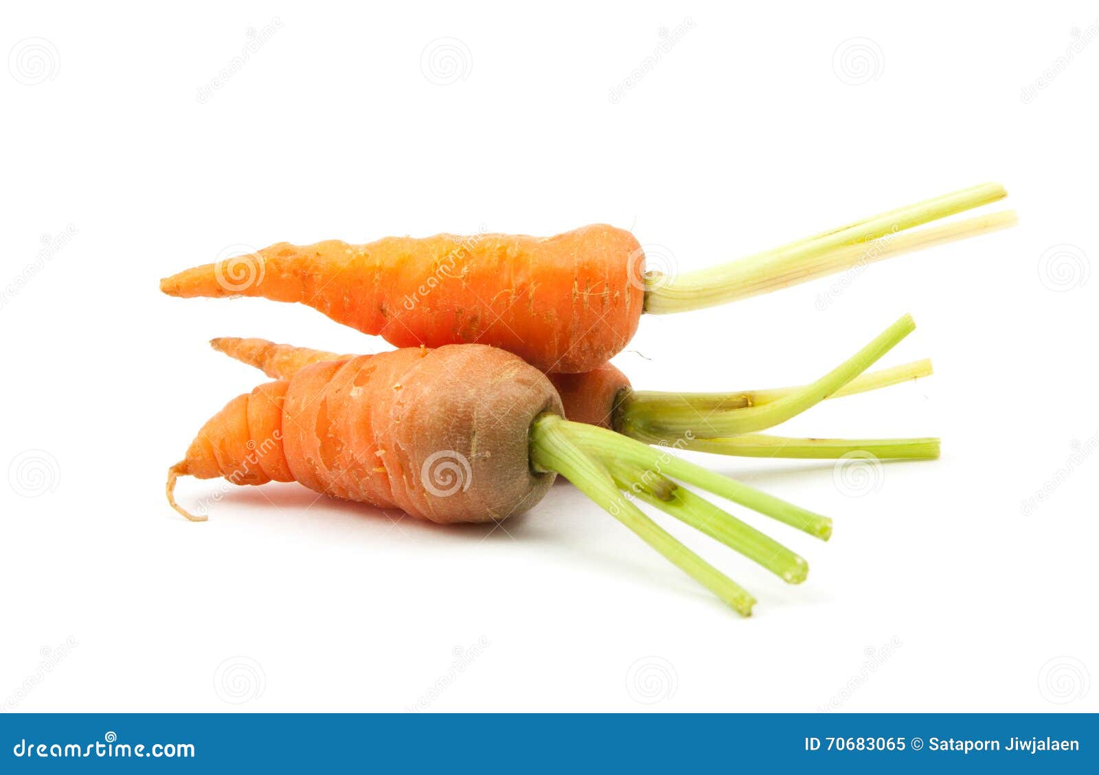 Baby Carrot Immature Carrot Stock Image Image of healthy, food 70683065