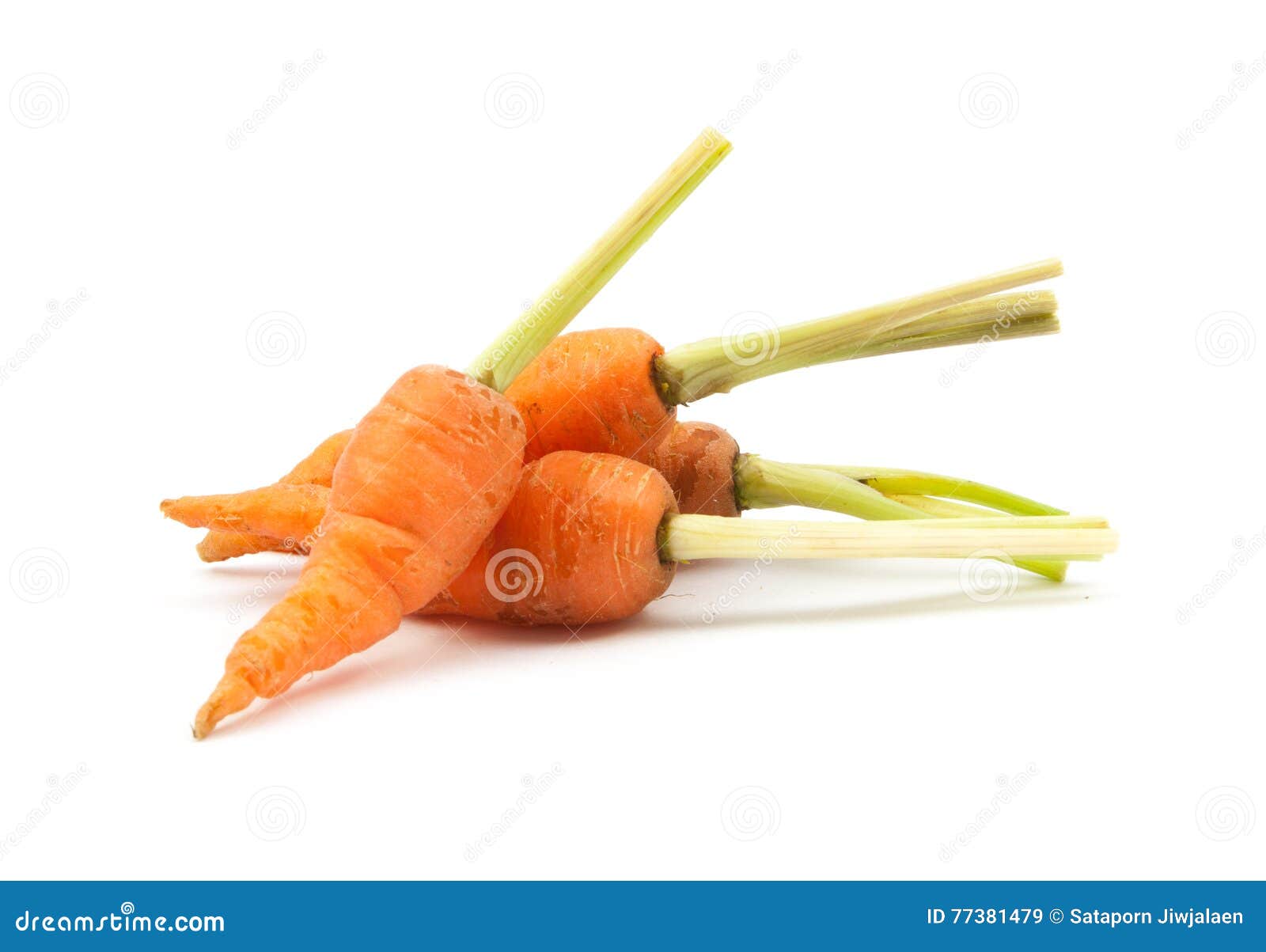 Baby Carrot Immature Carrot Stock Image Image of food, ingredient