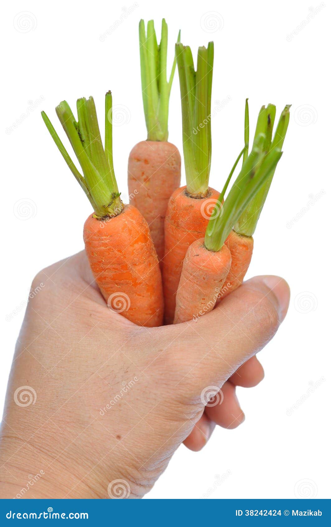 Baby carrot stock photo. Image of immature, healthy, isolated 38242424