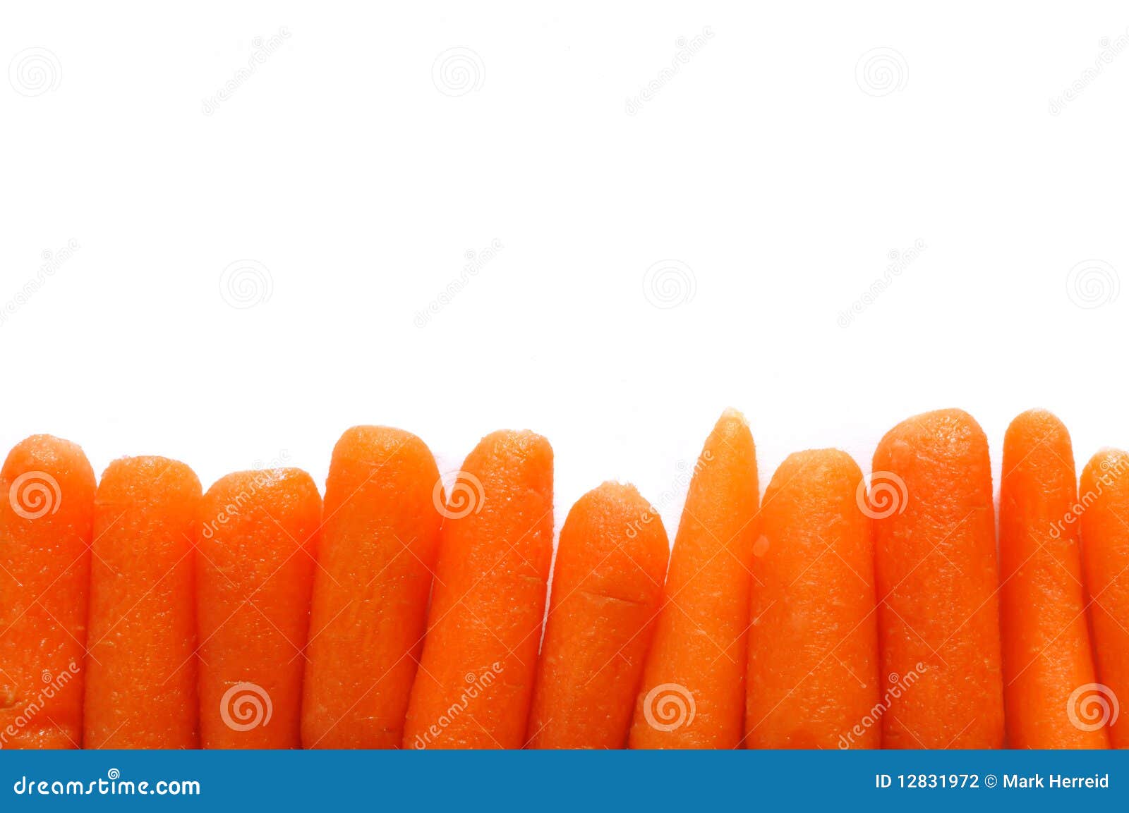 Baby Carrots stock photo. Image of orange, fresh, diet 12831972