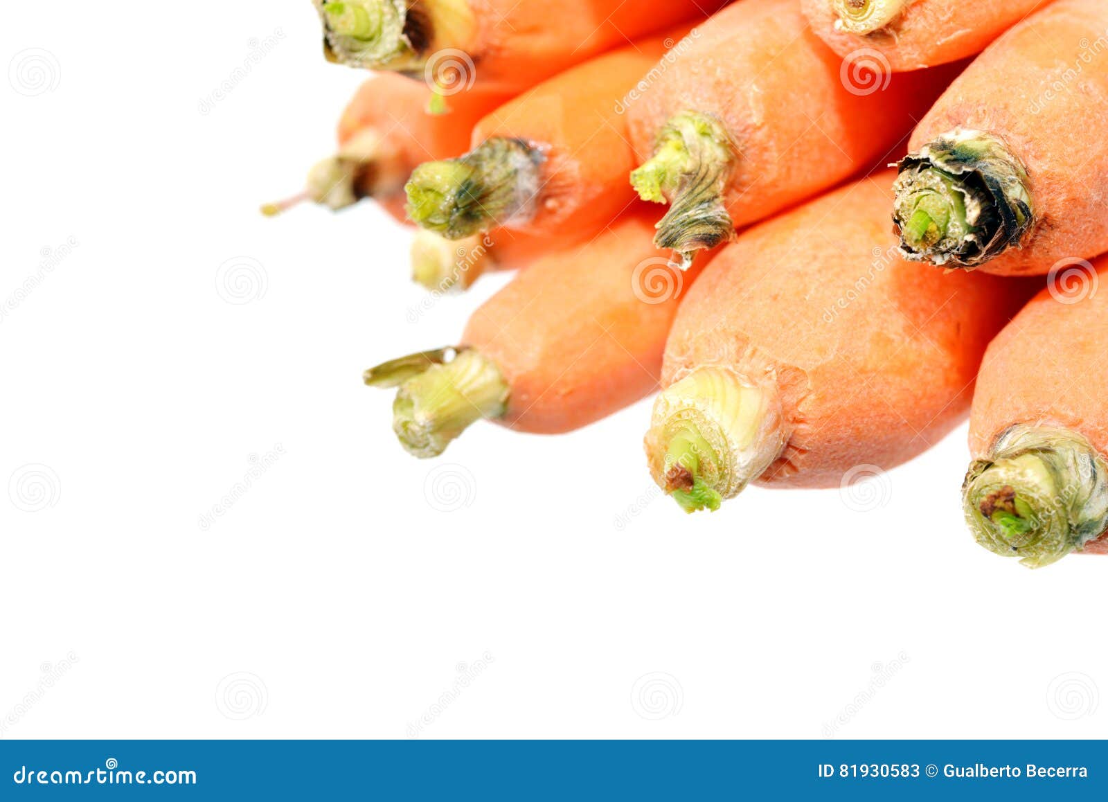 Baby Carrots stock image. Image of ripe, fresh, carotene 81930583