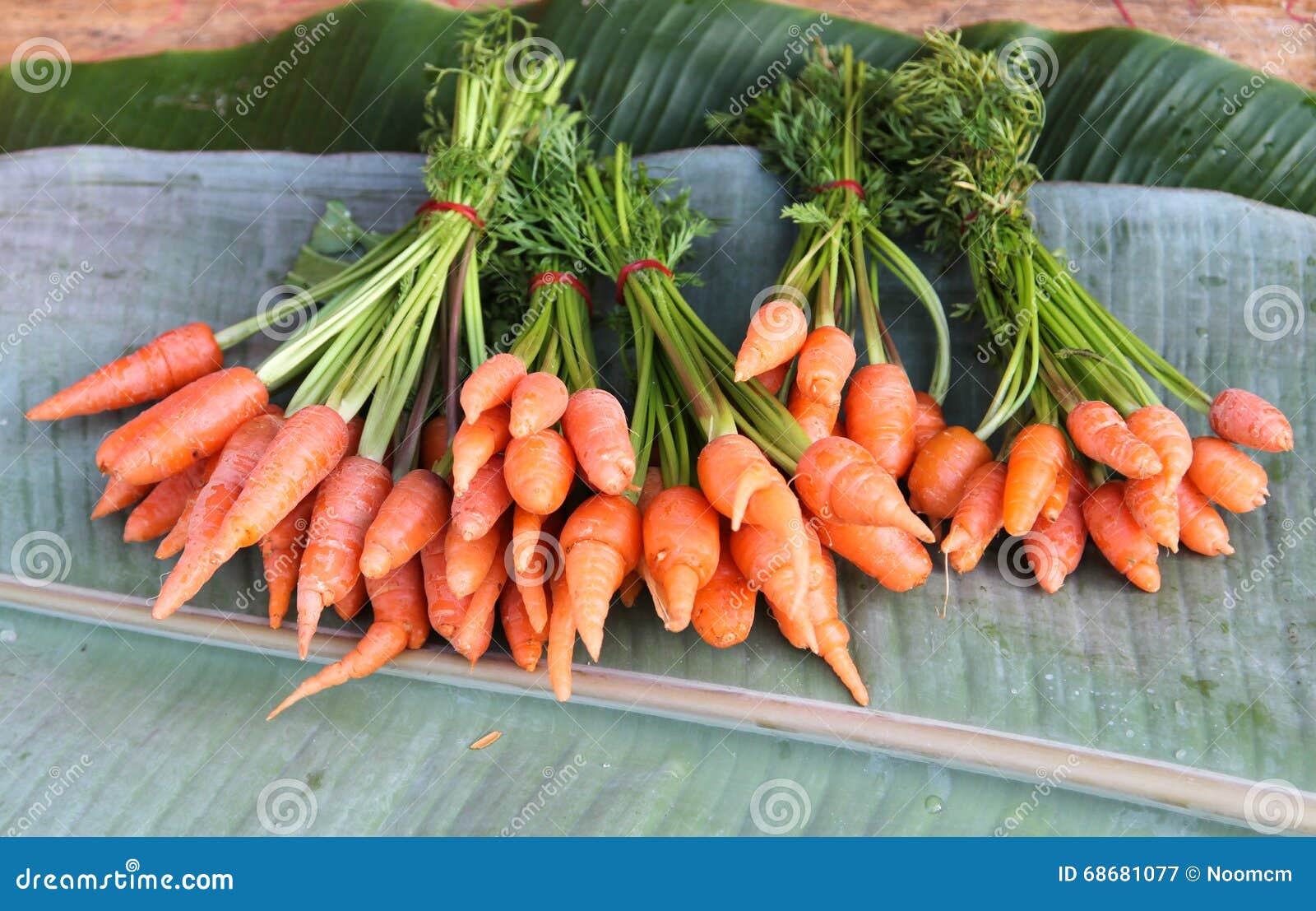 Baby carrots stock image. Image of organic, leave, fresh 68681077