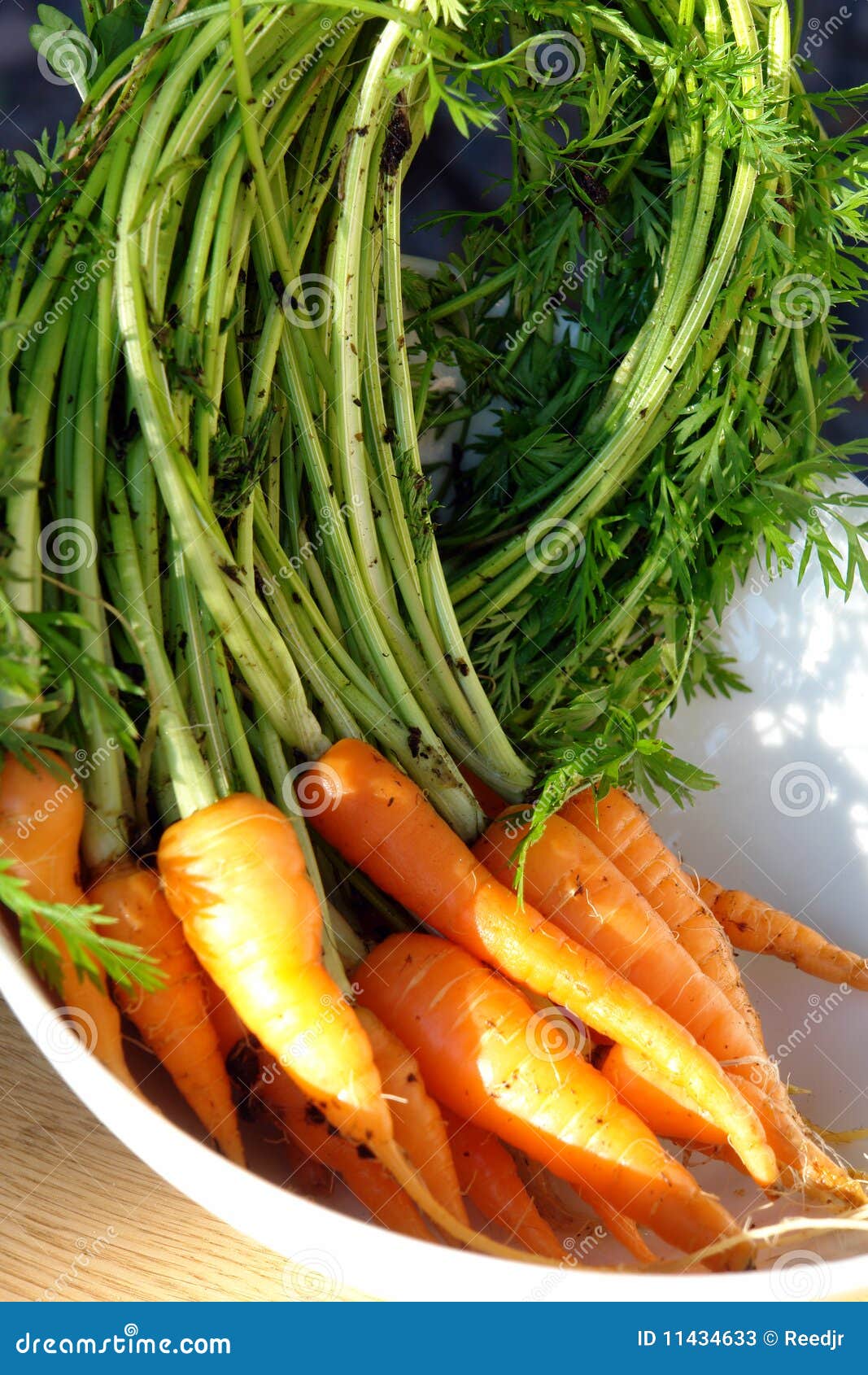 Baby carrots with tops stock image. Image of goods, agriculture 11434633