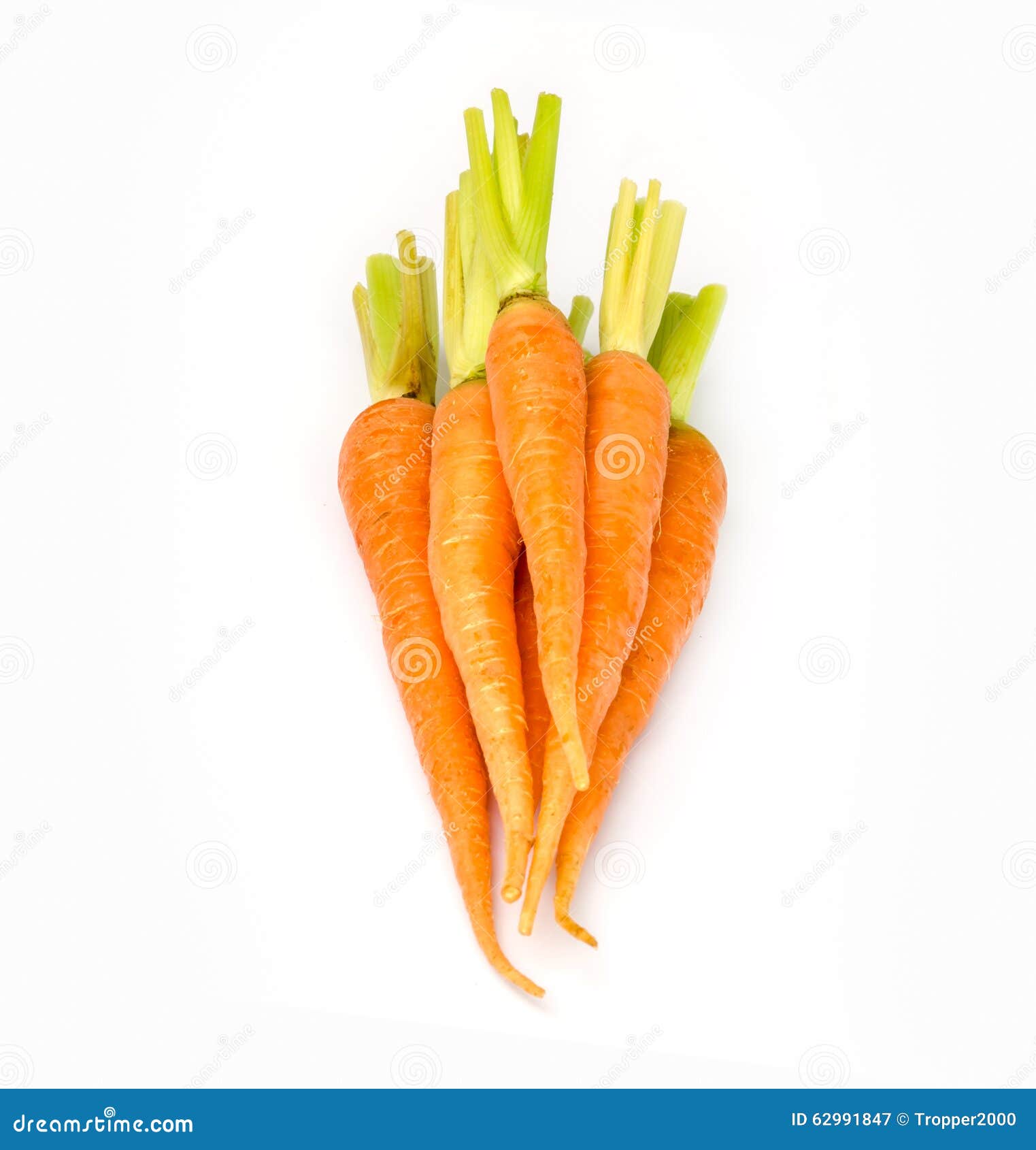 Baby Carrots stock image. Image of healthy, organic, ingredient 62991847