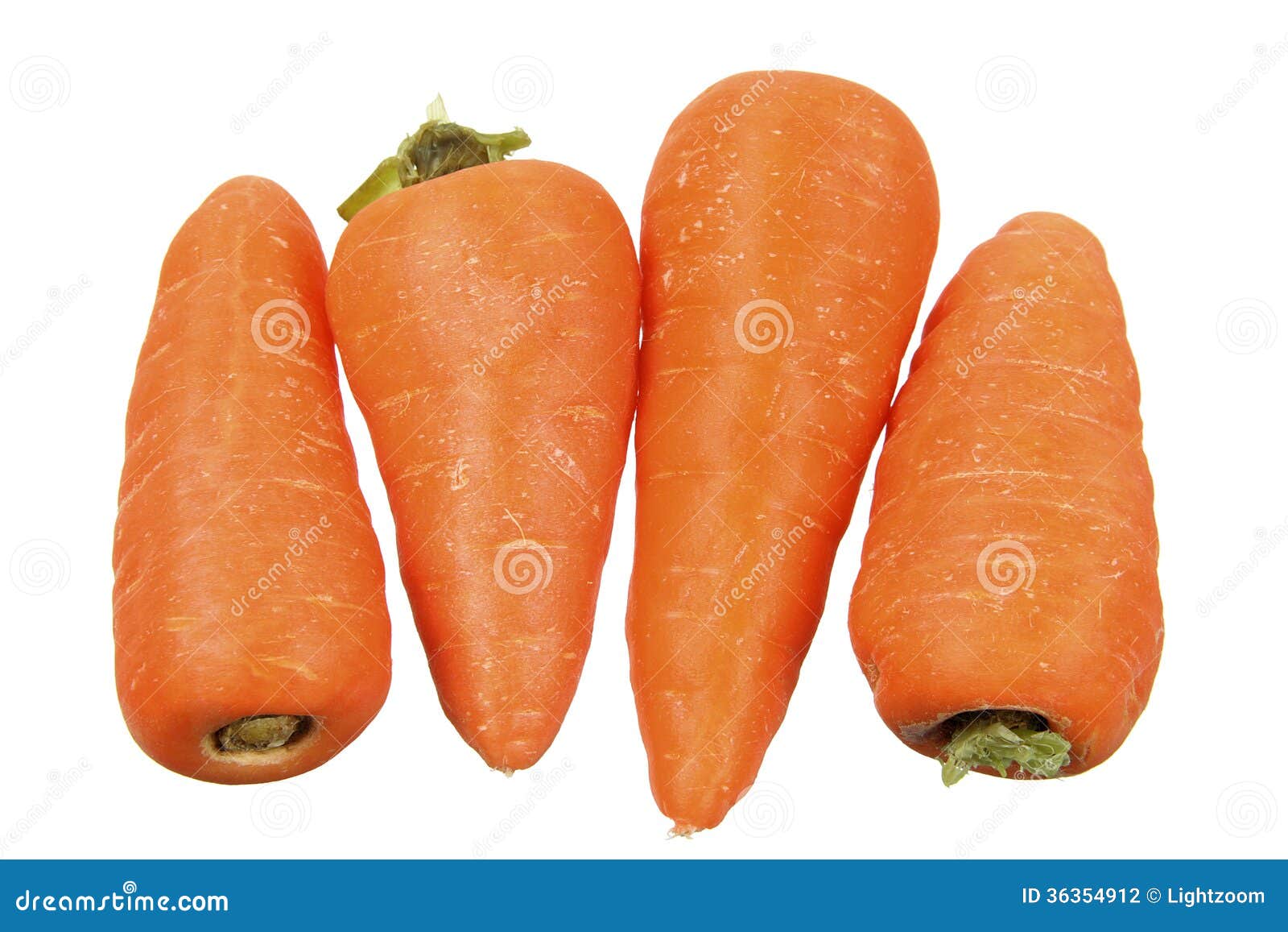 Baby Carrots stock photo. Image of studio, carrots, fibre 36354912