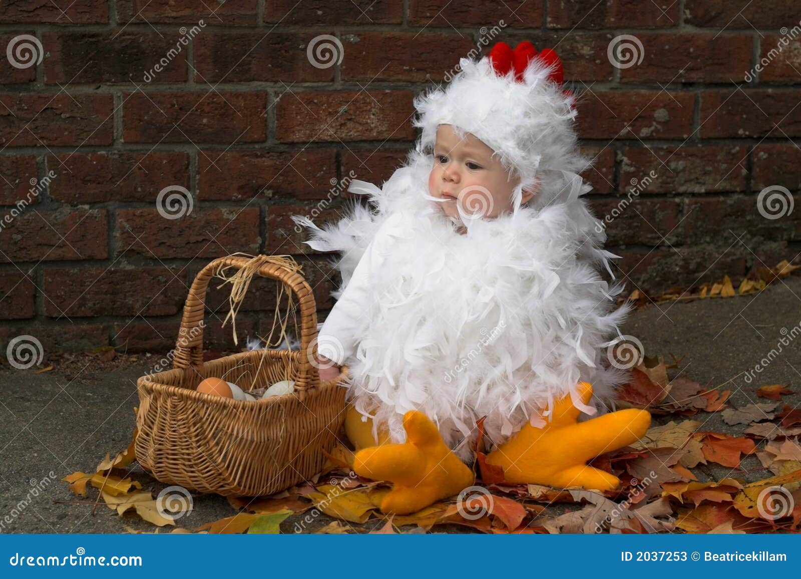 302 Baby Chicken Costume Stock Photos - Free & Royalty-Free Stock from Dreamstime