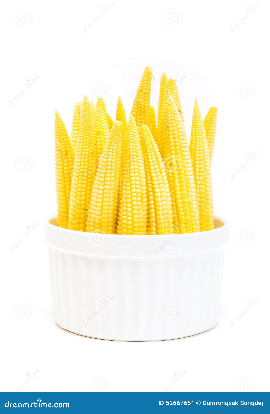 Baby Corn in a Cup Isolated on White Background Stock Image Image of