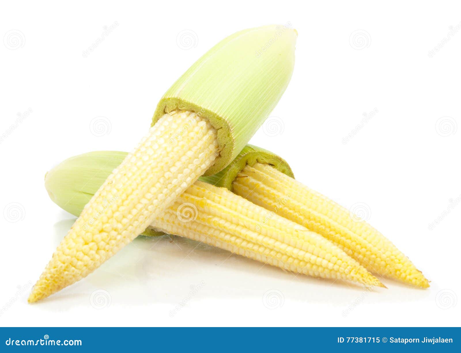 Baby corn stock image. Image of crop, healthy, gold, baby 77381715