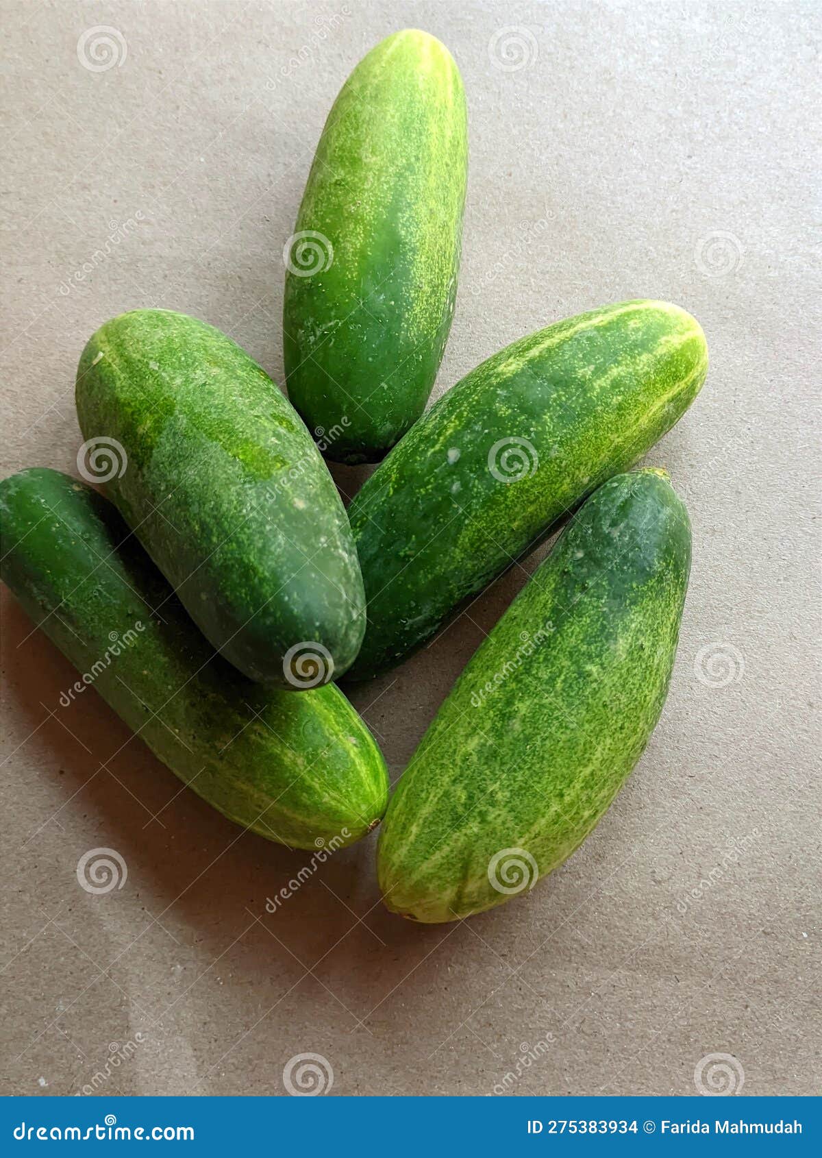Baby Cucumber on Isolated Brown Stock Photo Image of isolated