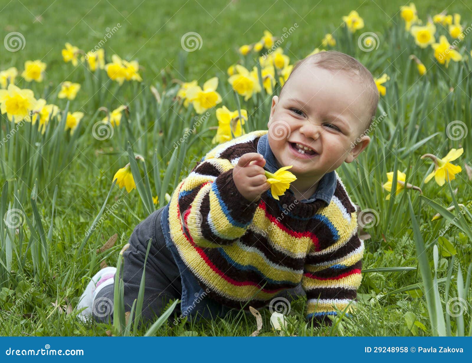 Baby in daffodils stock photo. Image of green, cute, outdoor 29248958