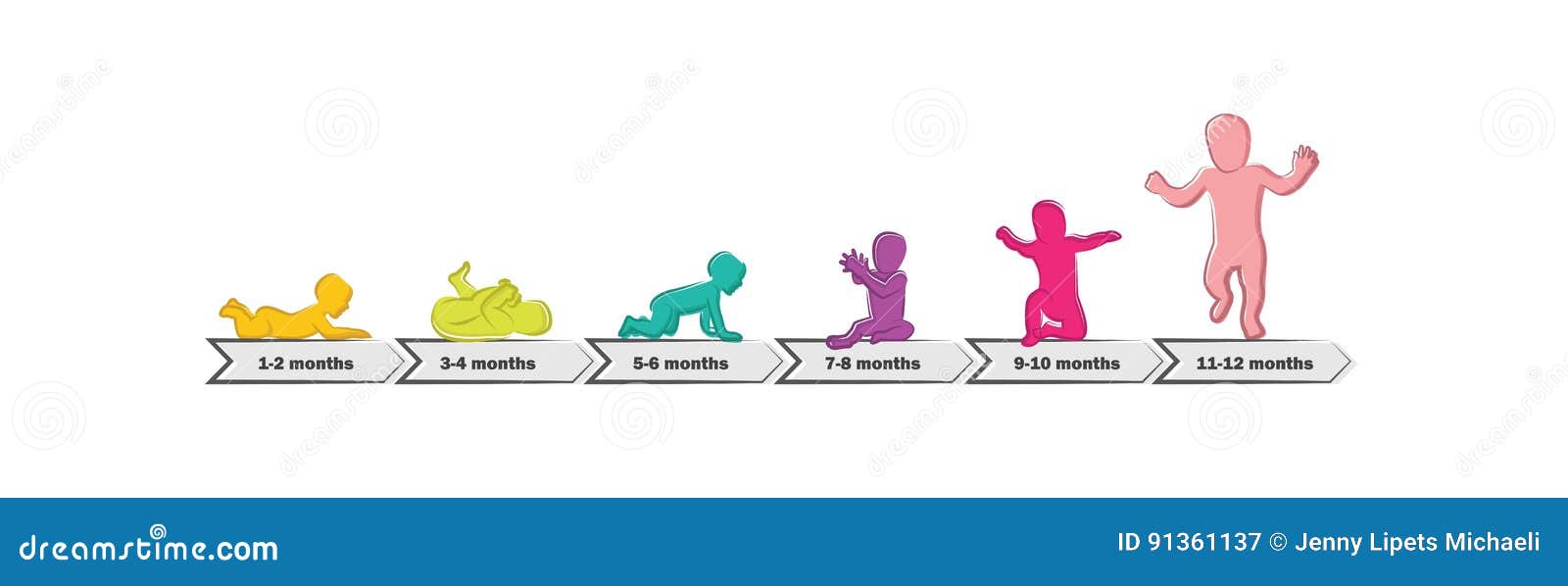 baby development stages milestones first one year . timeline of child milestones of the first year