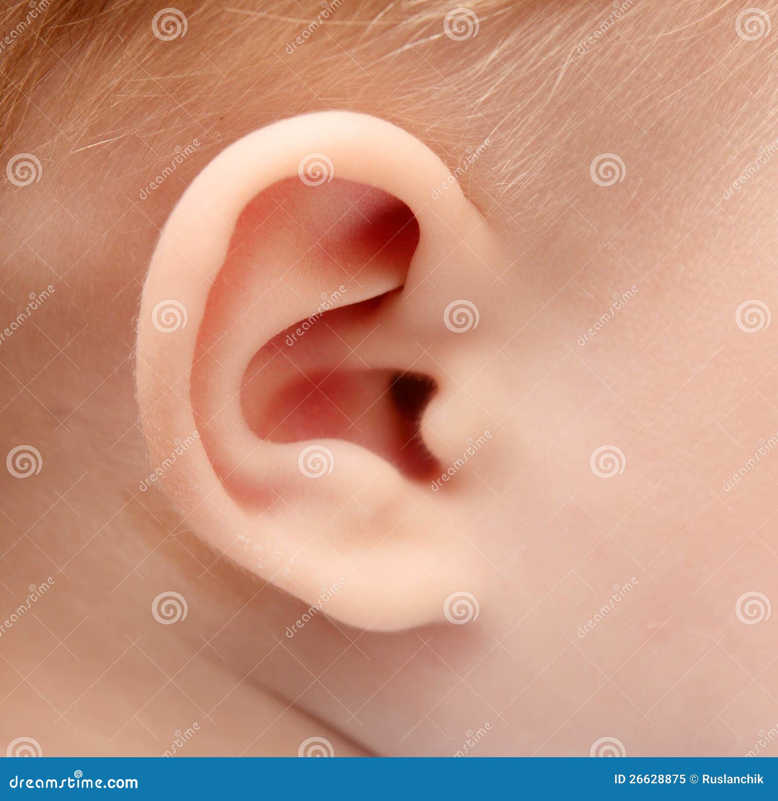 Baby Ear Royalty Free Stock Photo Image 26628875