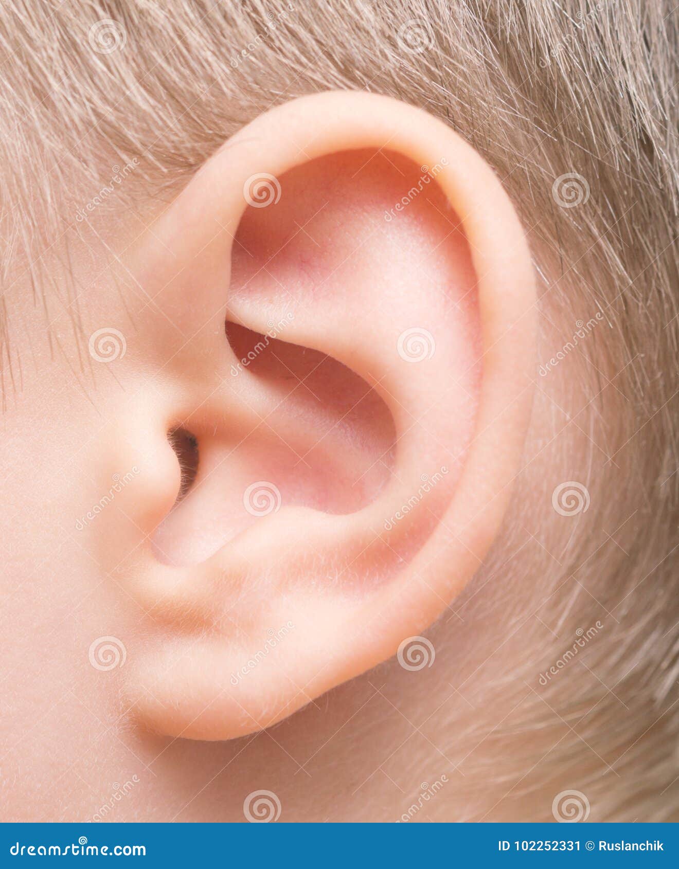 Baby ear stock image. Image of person, cute, young, closeup 102252331