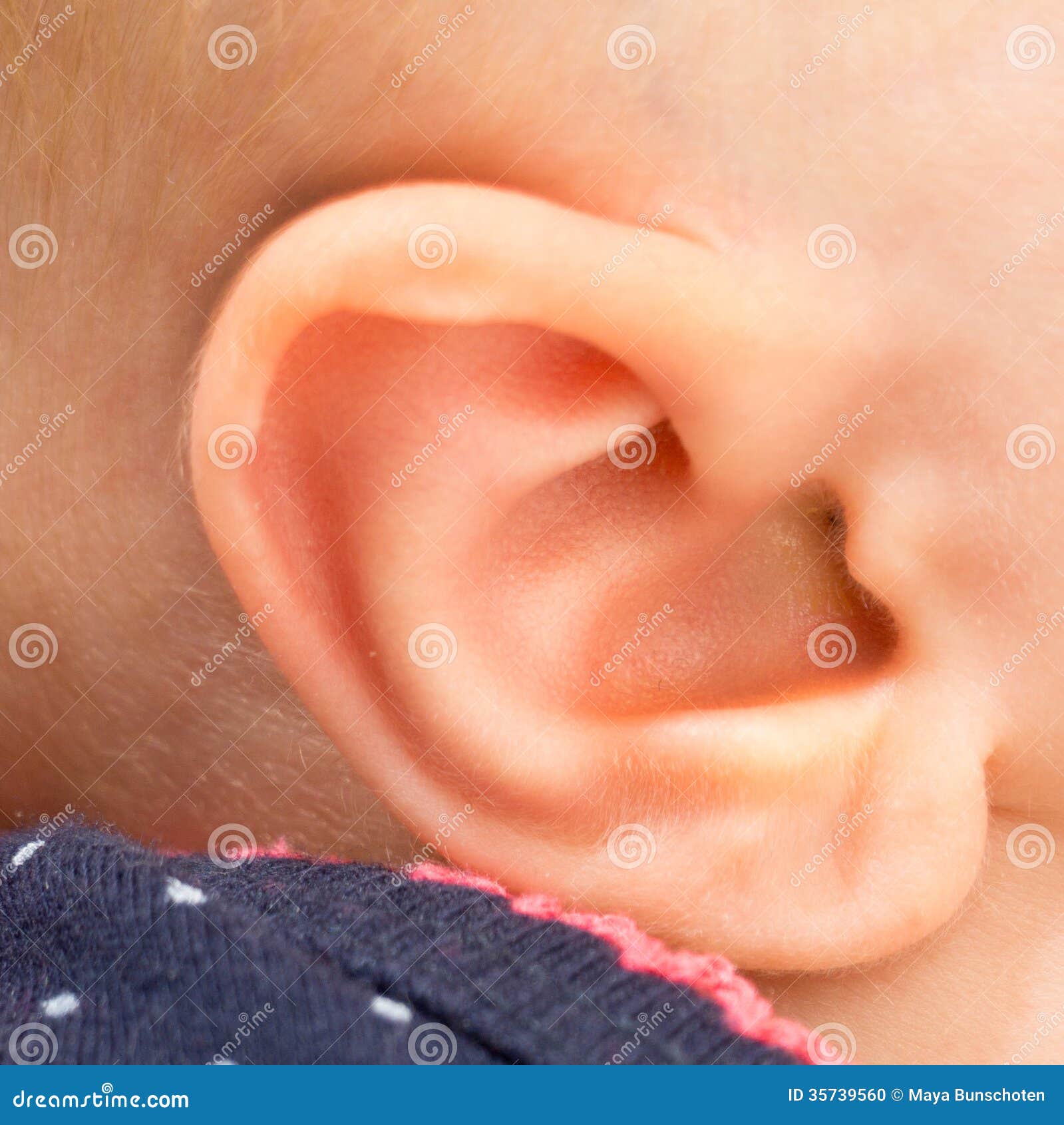 Baby ear stock photo. Image of skin, macro, child, human 35739560