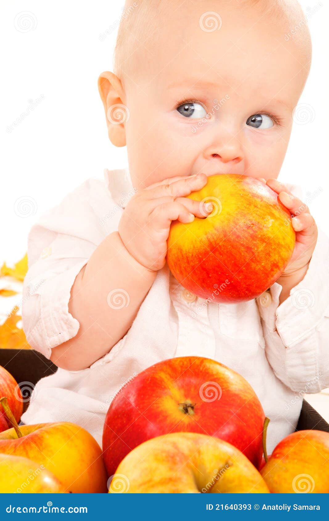 Baby eating apple stock image. Image of fall, baby, little 21640393