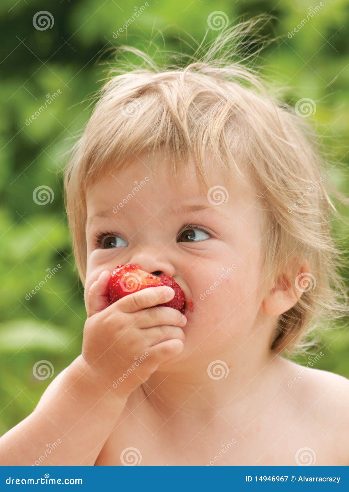 Baby eating strawberry stock image. Image of fresh, people 14946967