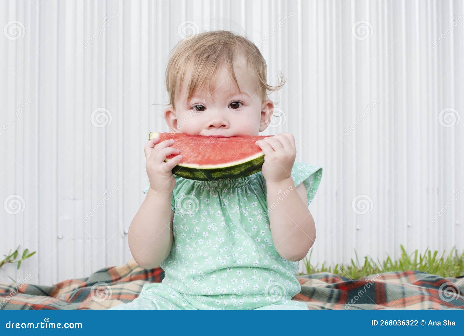 Baby Eating Watermelon. Fruits Stock Photo Image of healthy, food