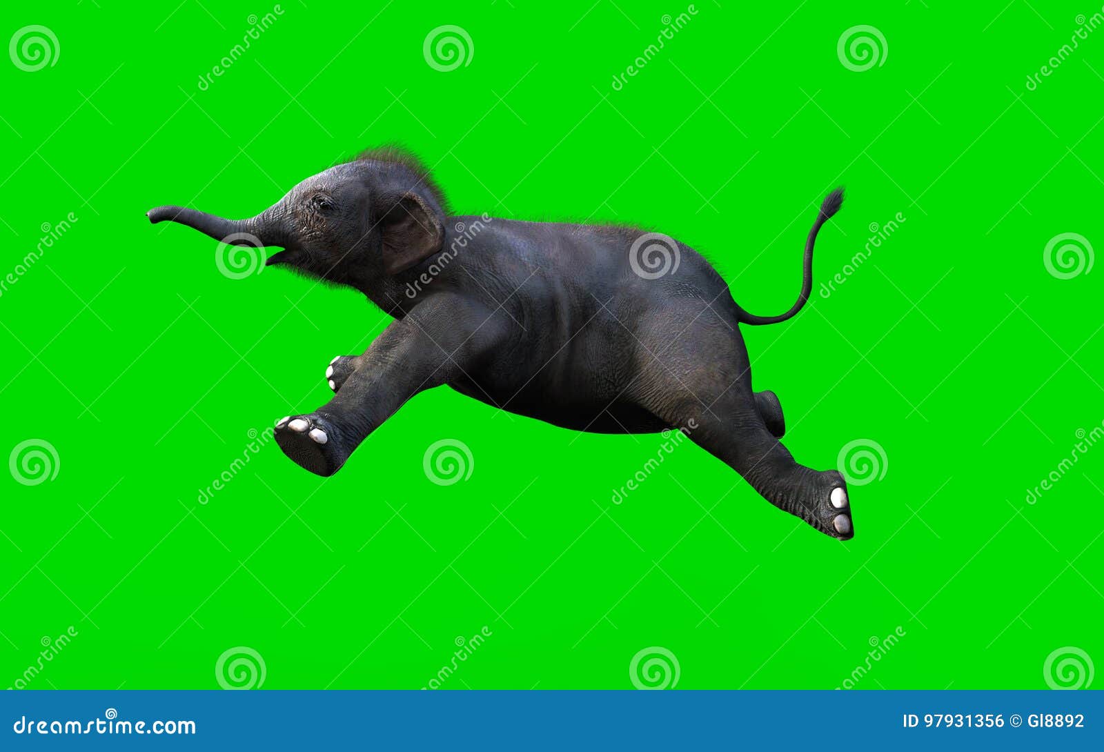 Baby Elephant Moving and Jumping Stock Illustration Illustration of
