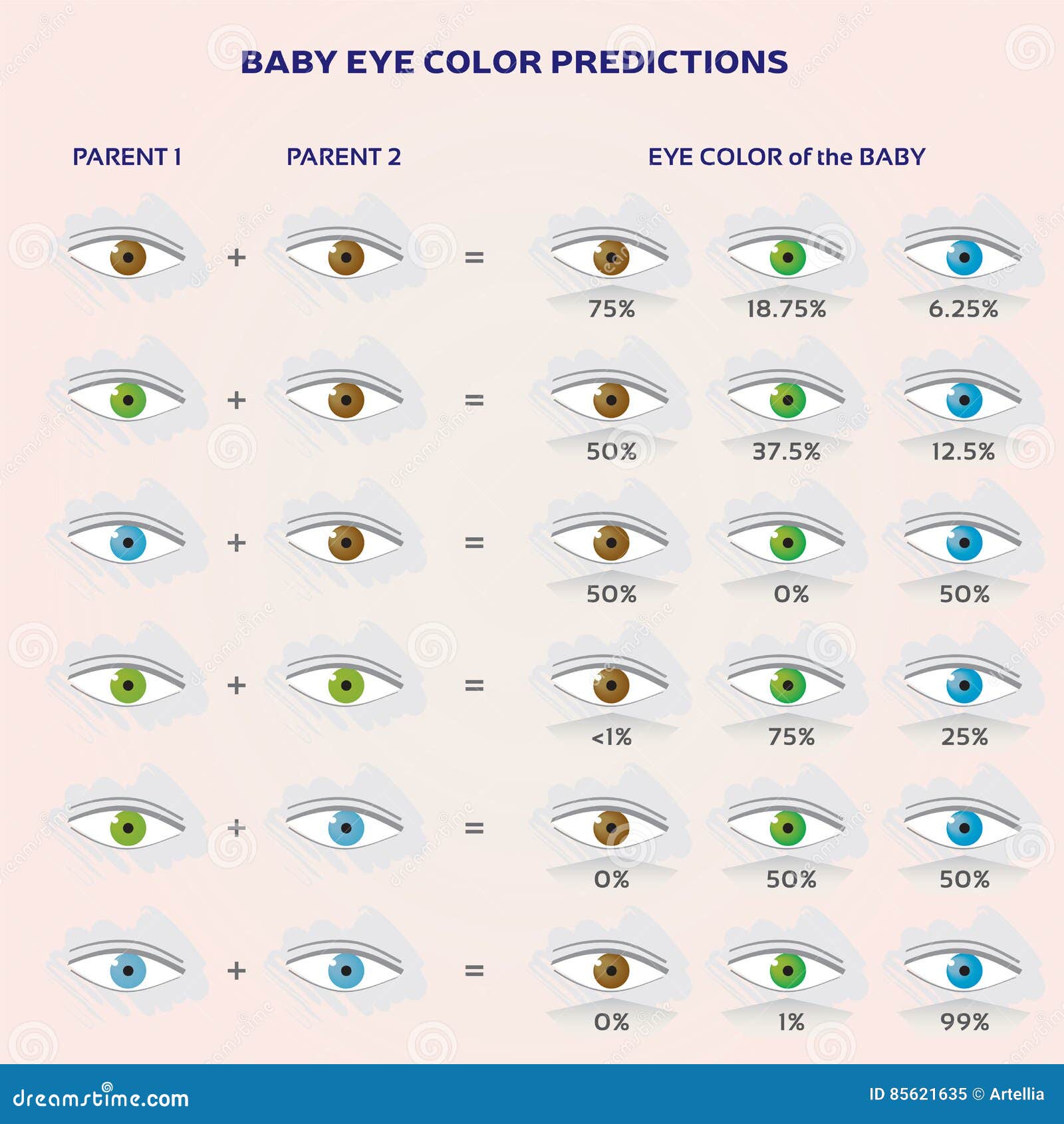 Eye Color Prediction Chart