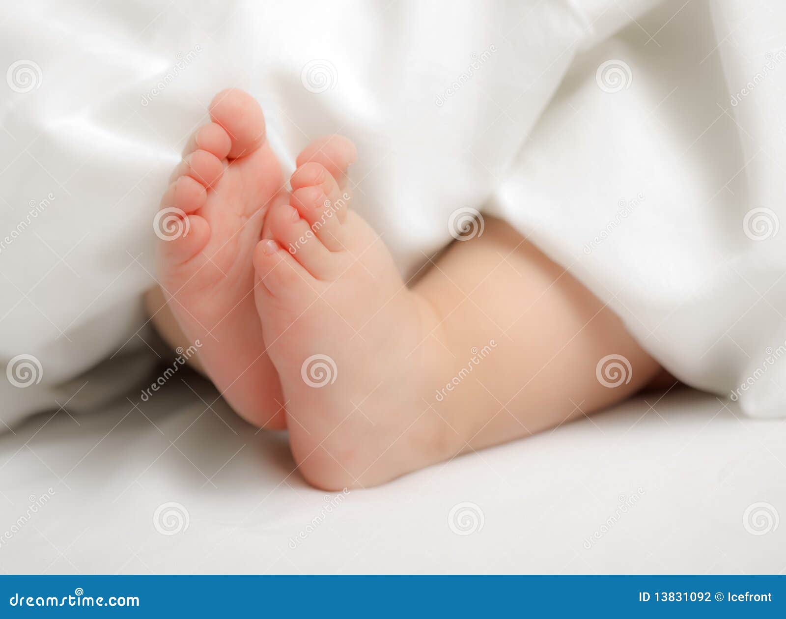 Baby feet stock photo. Image of foot, baby, white, soft 13831092