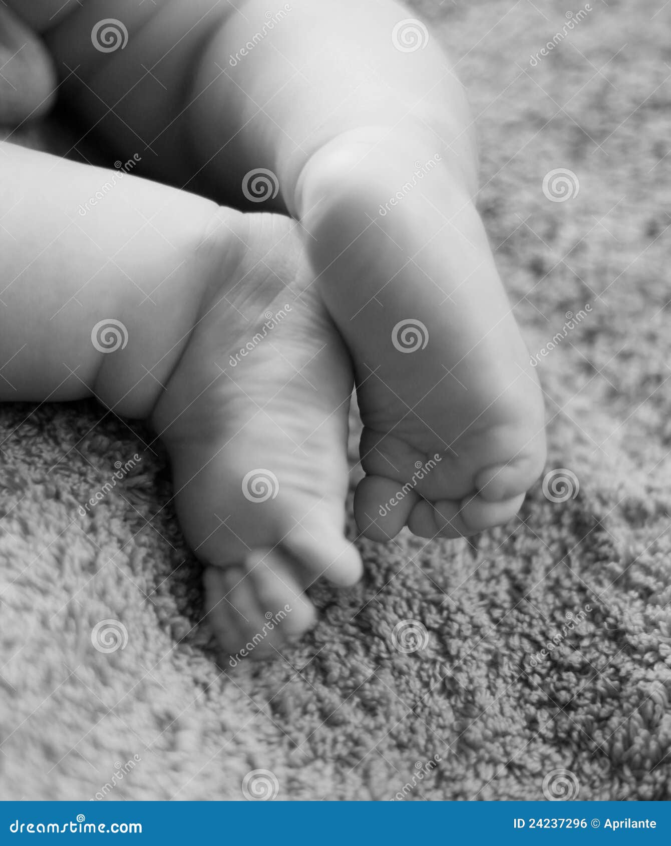 Baby feet stock photo. Image of fragility, cute, child 24237296