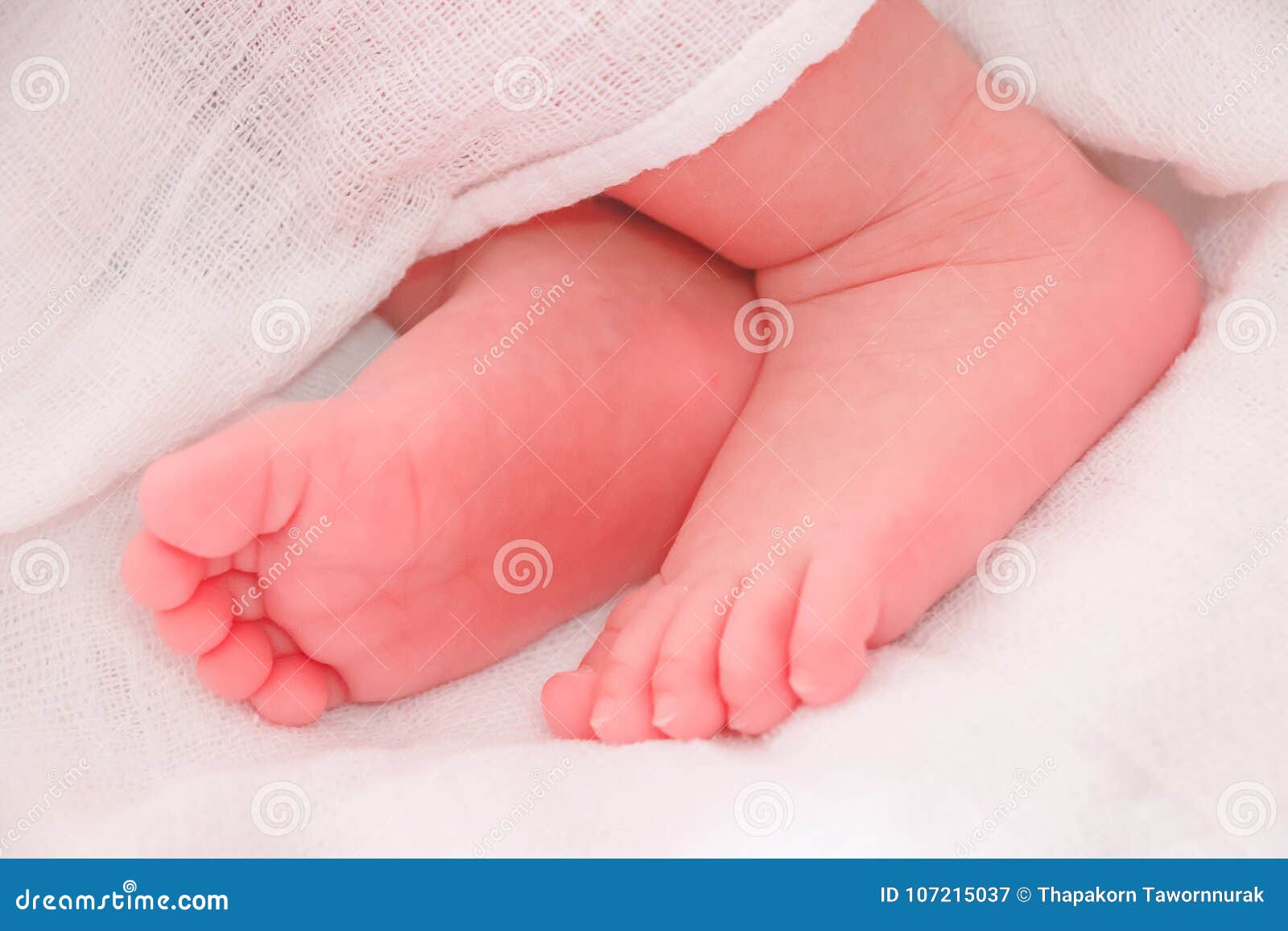 Little Baby Feet, Sleeping Baby Stock Photo Image of life, plump