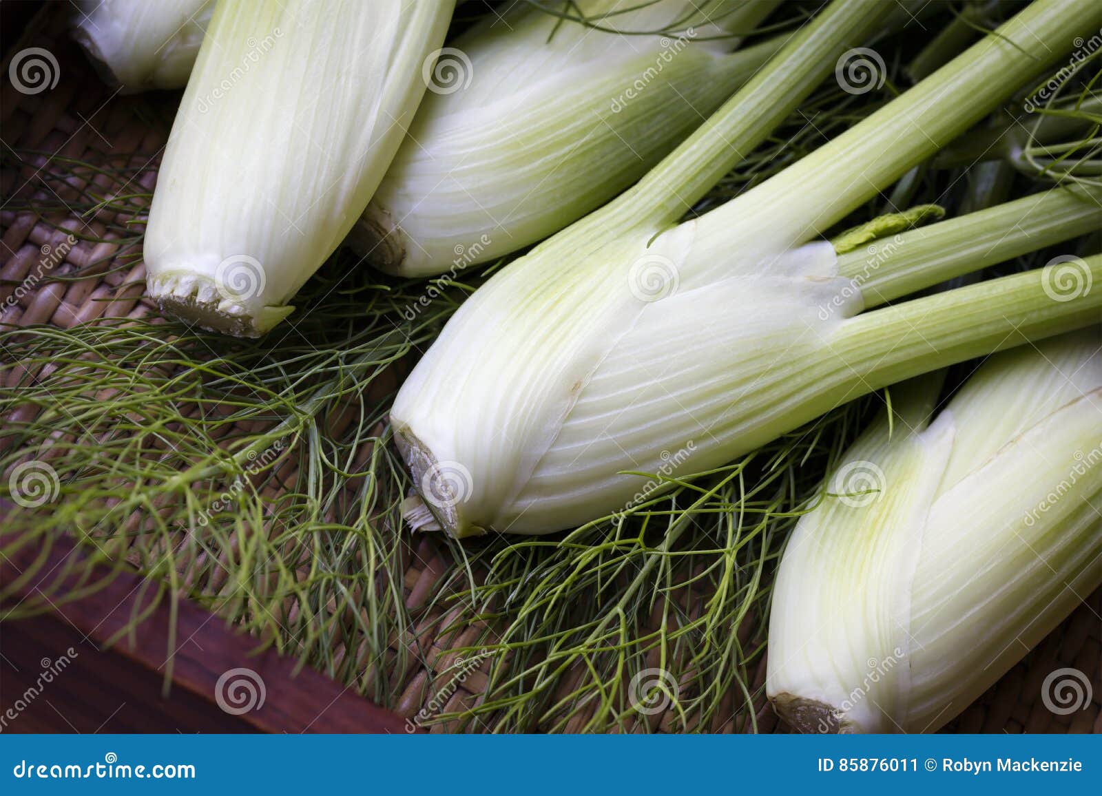 Baby Fennel stock image. Image of vegetable, mini, horizontal 85876011