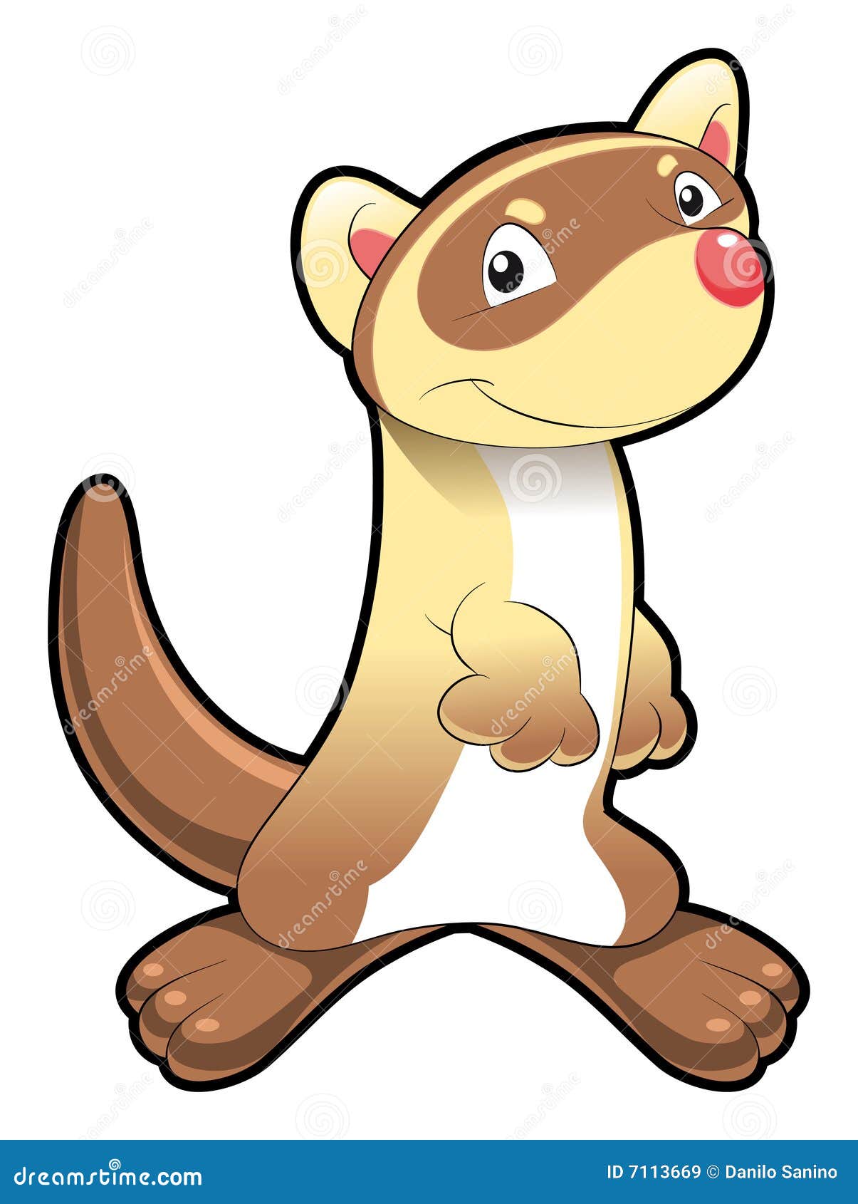 Baby Ferret stock vector. Illustration of child, young 7113669