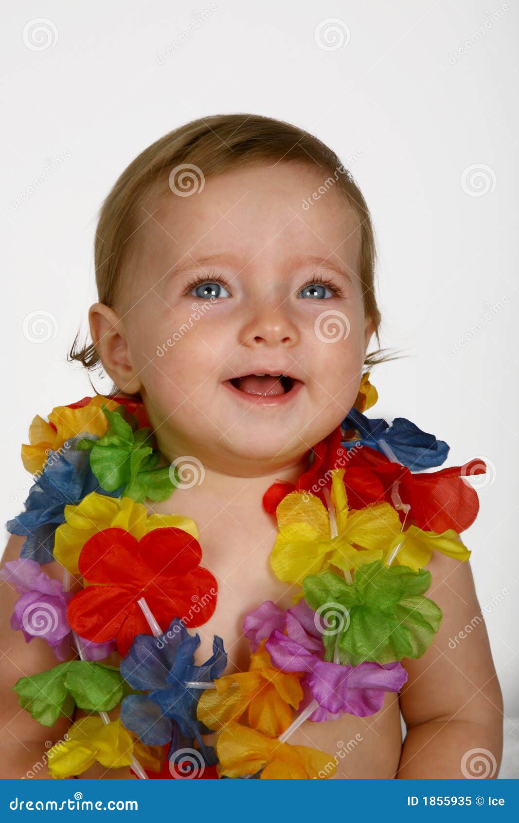 Baby Flowers stock image. Image of happy, flowers, hawaiian 1855935