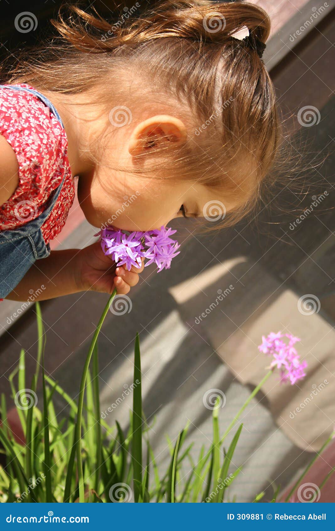 Baby With Flowers Stock Image Image 309881
