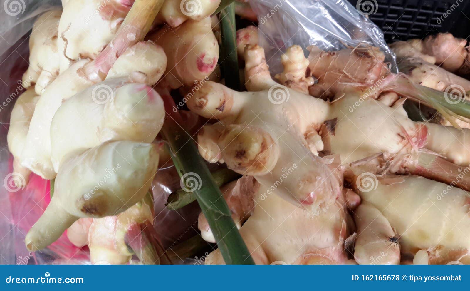 The Baby Ginger For Healthy Chinese Food Stock Photo ...