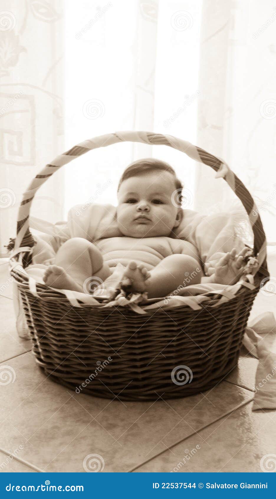 Baby girl in moses basket stock photo. Image of cosy 22537544