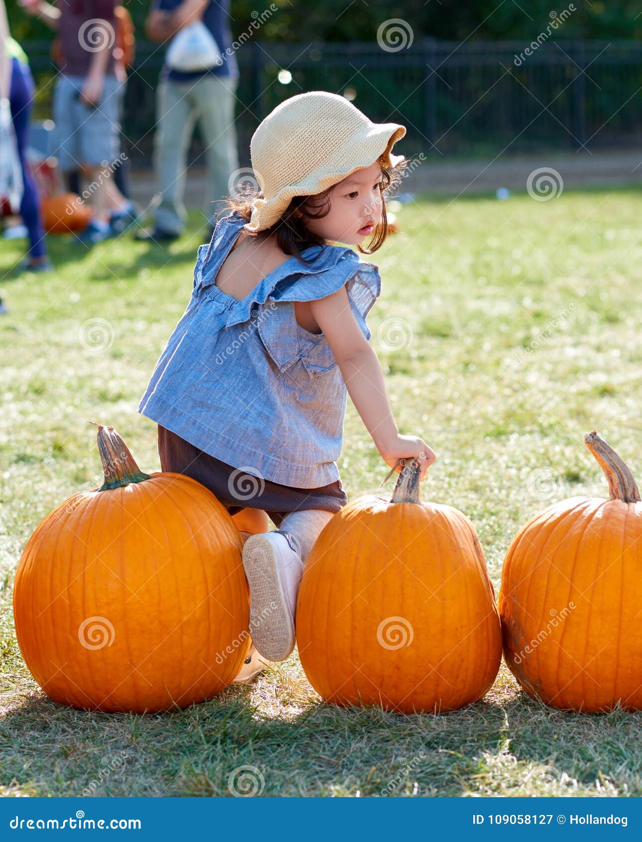 Baby Girl Picks Pumpkin in the Farm Stock Image - Image of cute, hand ...