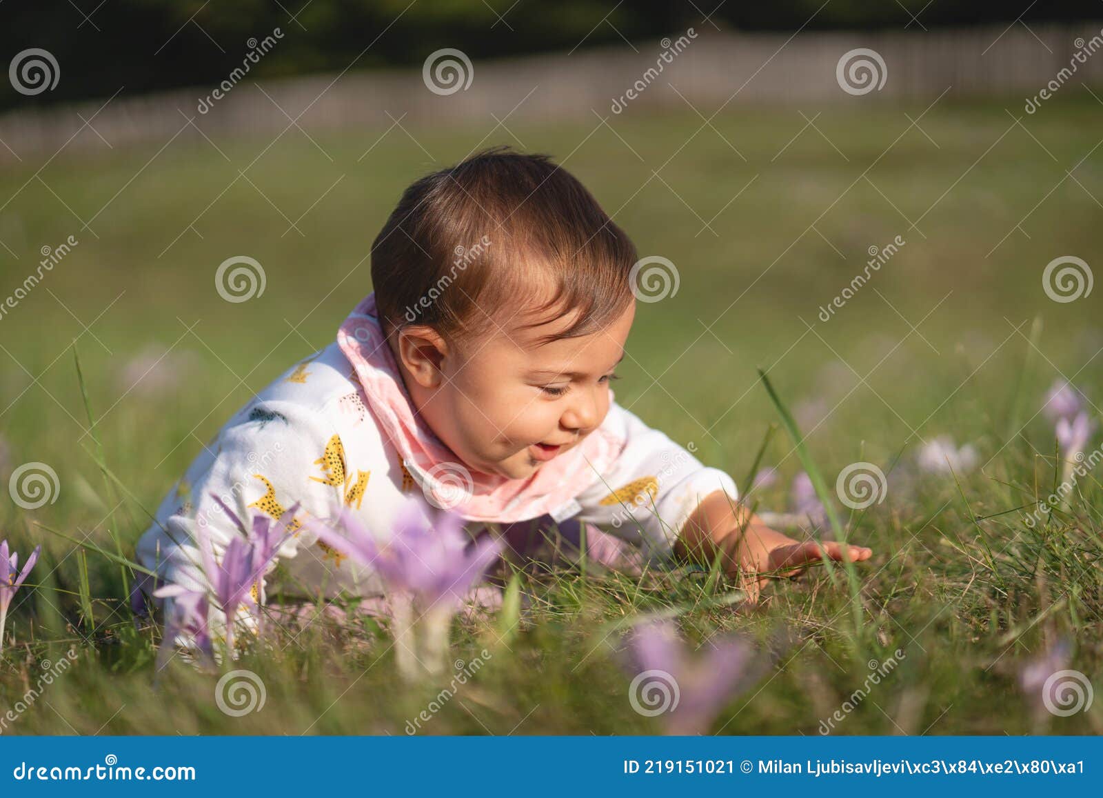 Baby Girl Playing in the Grass Field Stock Image - Image of infant ...