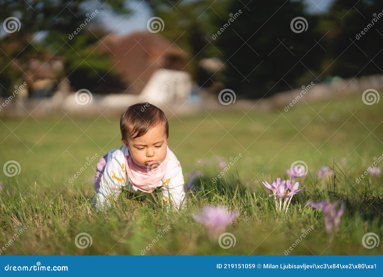 Baby Girl Playing in the Grass Field Stock Image - Image of flowers ...