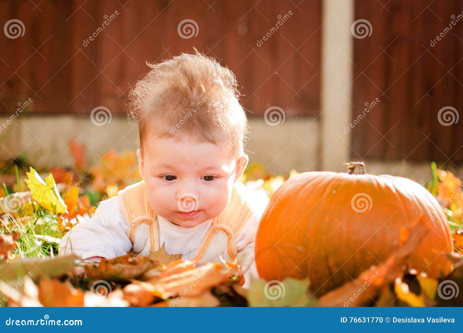 Baby girl with pumpkin stock photo. Image of funky, fall - 76631770
